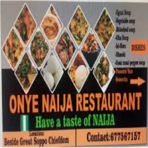 ONYE NAIJA logo
