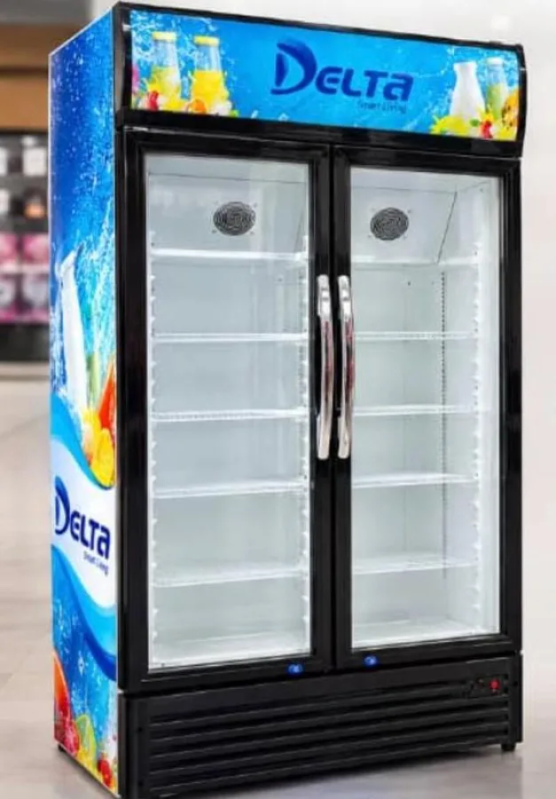 Delta double door freezer